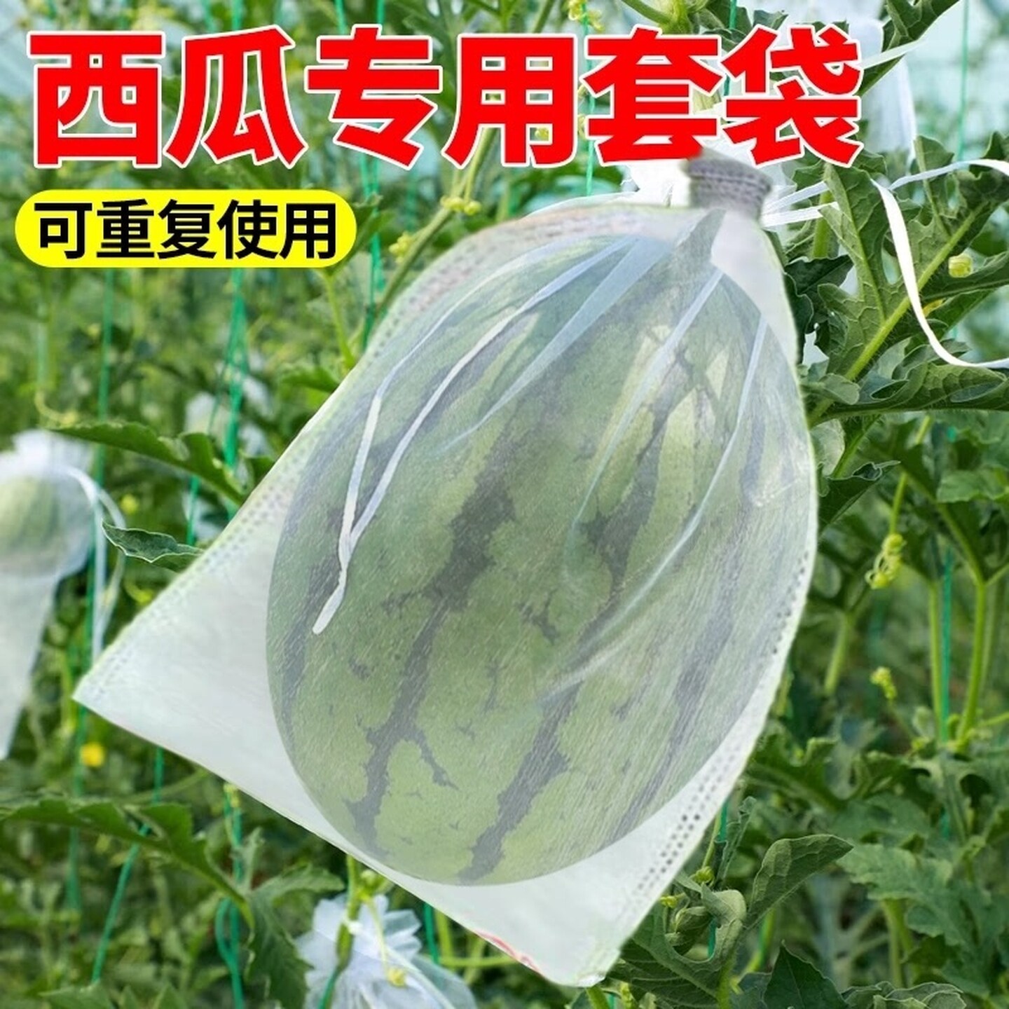 西瓜套袋专用防虫防鸟透气透光瓜果蔬菜通用型网袋防果蝇户外神器