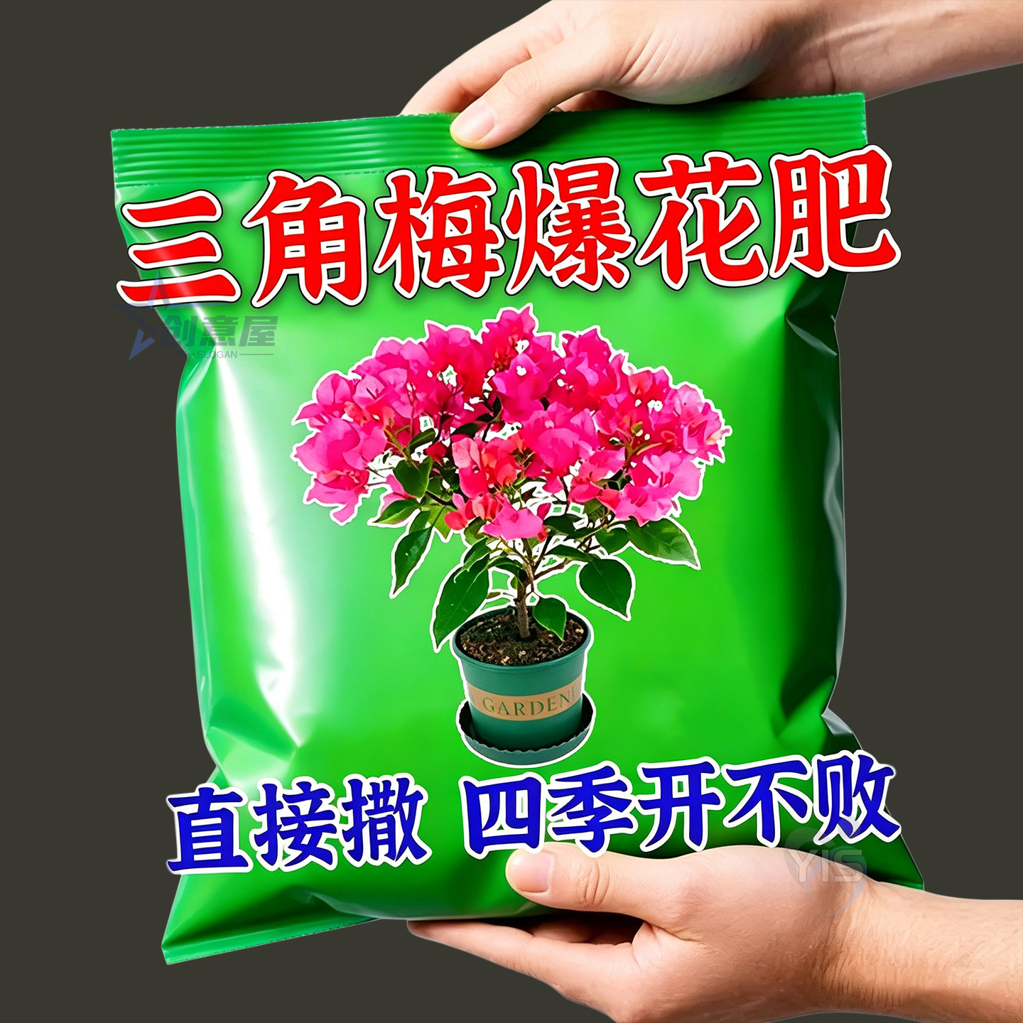 三角梅专用开花粉促芽光壮根