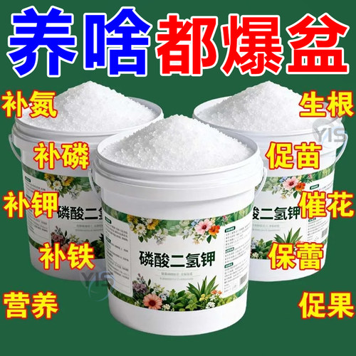 磷酸二氢钾花卉叶面肥促花养根