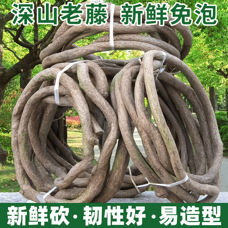 仿真树藤室内装饰枯藤管
