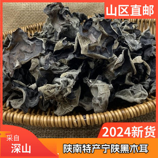 陕南特产宁陕黑木耳花柳树木耳袋装天然软糯椴木春木耳纯天然干货