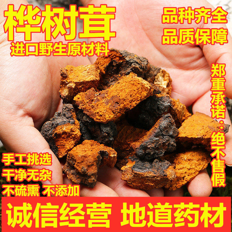 桦树茸俄罗斯野生中药材白桦茸桦褐孔菌茶桦树泪菇胆500g散装