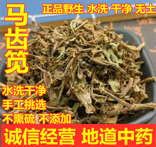 苋新款麦冬中药材野生笕耐旱菜马齿菜五行草长命菜麻绳菜500g散装