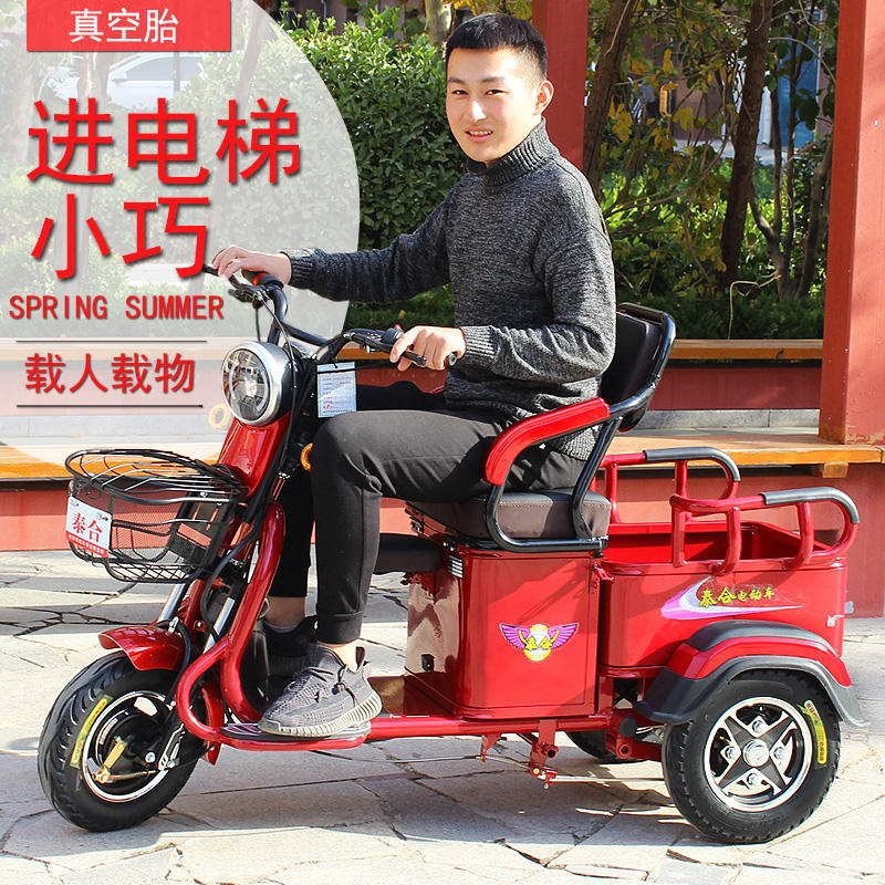 泰合电动三轮车家用新款小型接送孩子老人老年拉货载重王电瓶三轮