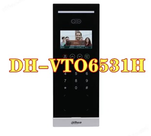 4.3寸人脸套装DH-VTO6531H