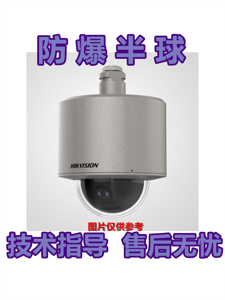 海康威视 DS-2DF4600-DX 200万高清防爆智能球机网络摄像机