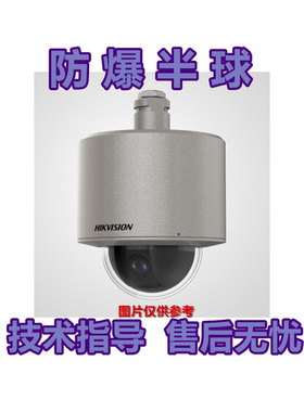 海康威视 DS-2DF4600-DX 200万高清防爆智能球机网络摄像机