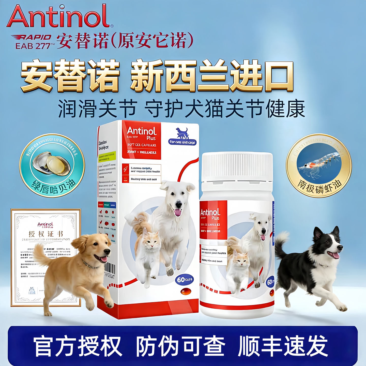 新西兰安替诺Antinol绿唇贻贝EAB-277安它诺猫狗关节健康髌骨脱位