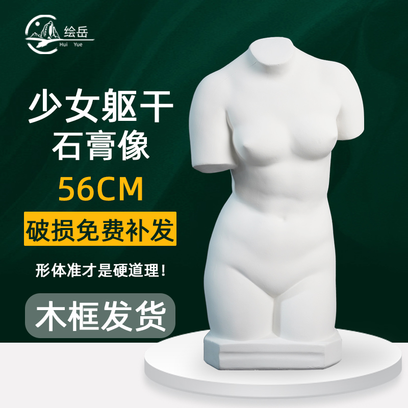 绘岳56cm少女躯干石膏像石膏人物像装饰摆件美术教具素描速写临摹绘画美术静物石膏像美术配套器材石膏图片