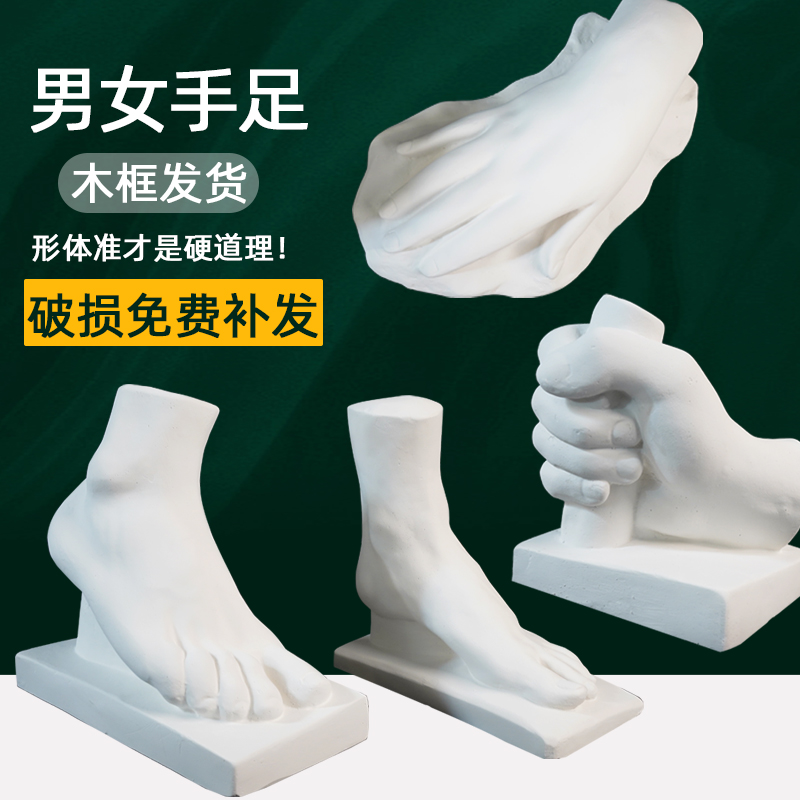 绘岳男女手足石膏像手脚四件套石膏教具美术素描美术专用绘画写生静物用具摆件素描美术绘画教材画室常用