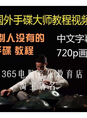 国外大师手碟鼓教程handpan老师教学演奏课程视频零基础初学入门