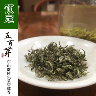 【到货】五百芽碧螺春 洞庭东山晚茶老品种定制花果香碧螺春50g