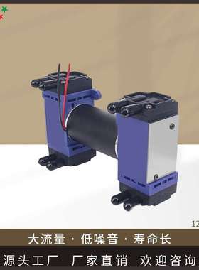 1230SPM双头泵微型泵负压隔膜泵直流气泵增压泵3v真空泵抽气泵