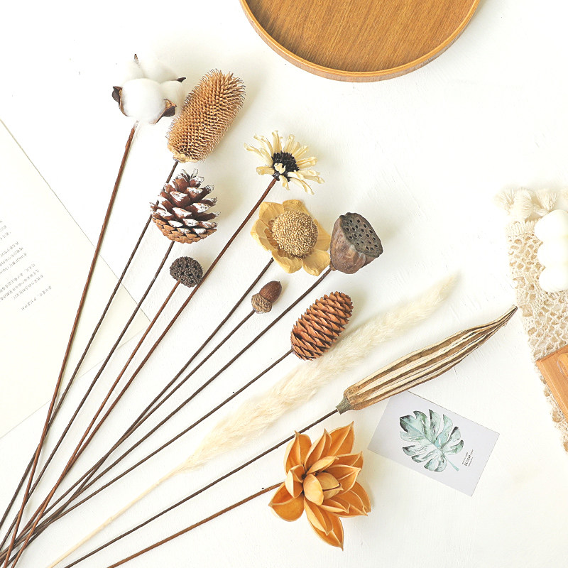 棉花莲蓬松果芦苇秋葵diy客厅插花干花花束家居装饰民宿禅意