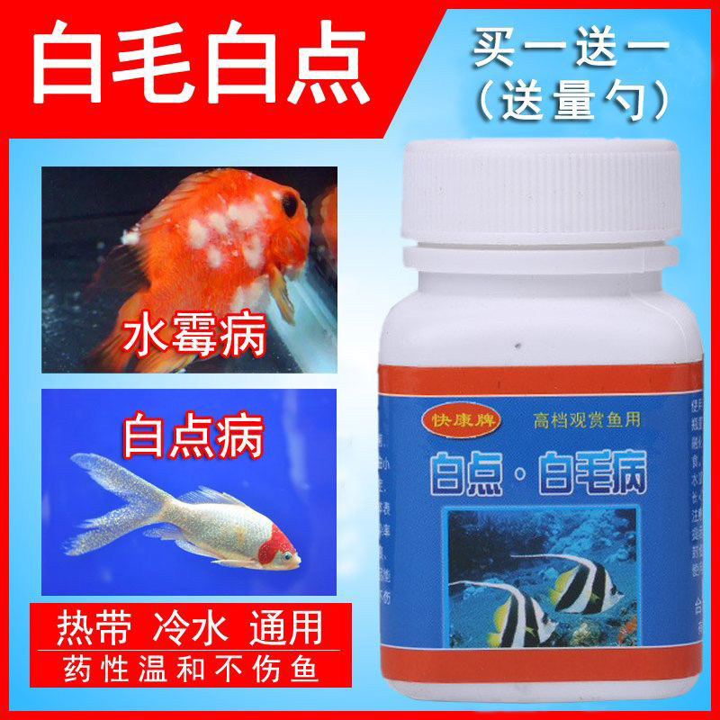 白点白毛病治疗水霉病鱼用观赏鱼鱼缸专用养金鱼身上长白点净预防