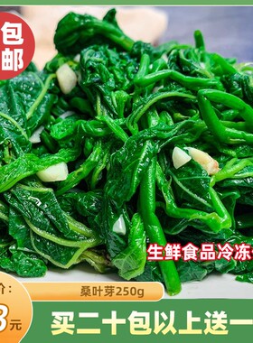 桑叶芽250g新鲜桑叶苗