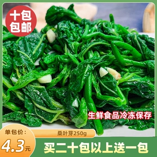 桑叶芽250g新鲜桑叶苗上汤桑叶菜食用嫩桑叶尖冷冻半成品商用餐饮