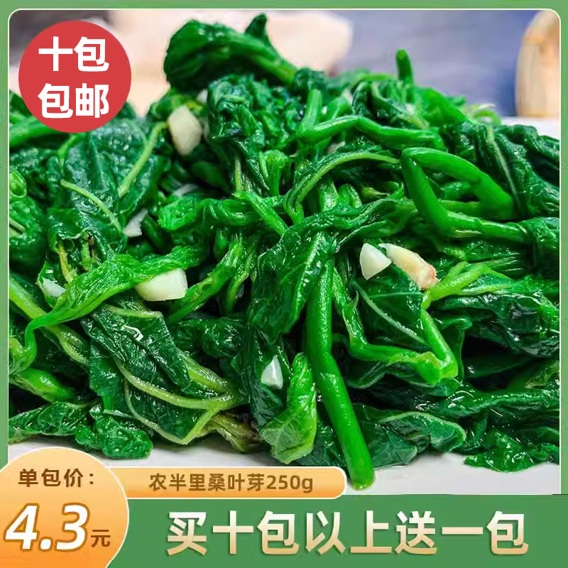 桑叶芽250g新鲜桑叶苗上汤桑叶菜食用嫩桑叶尖冷冻半成品餐饮商用 传统滋补营养品 桑叶 原图主图