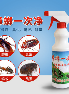 蟑螂一次净灭蟑螂药全窝端家用孕妇婴儿蟑螂喷剂杀小强一窝端克星