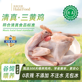 清真农家散养三黄鸡新鲜生鸡整只生鲜冷冻肉童子鸡无添加2只约4斤