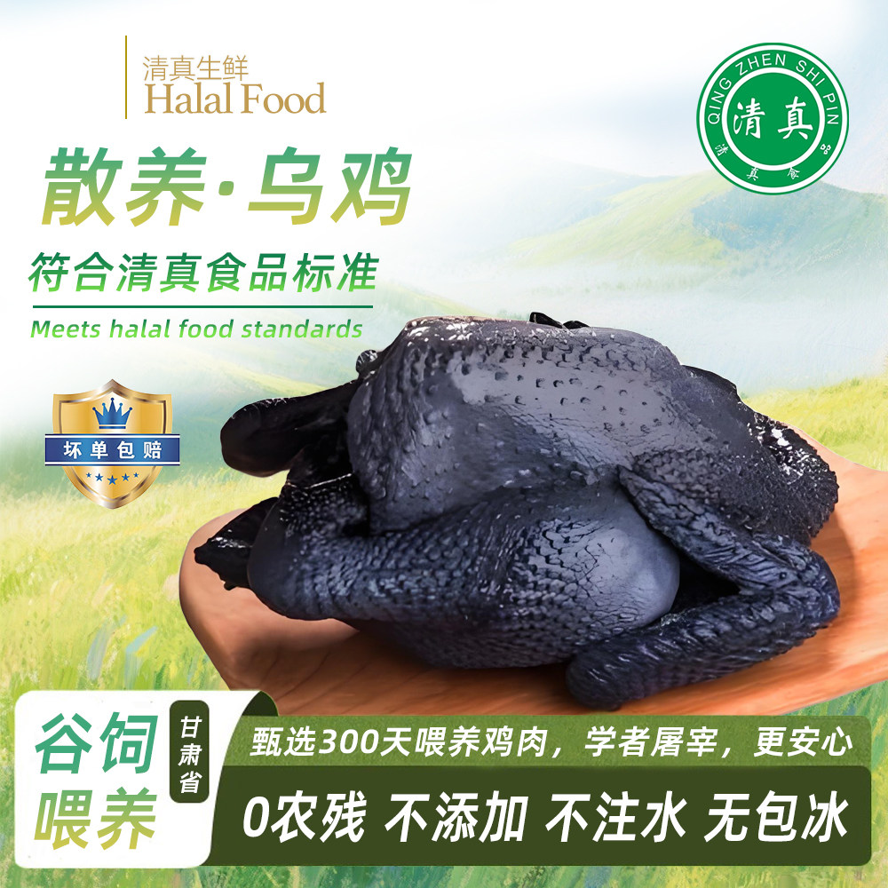甘肃清真乌鸡新鲜现宰正宗农家散养土鸡黑乌鸡生鲜冷冻整只鸡