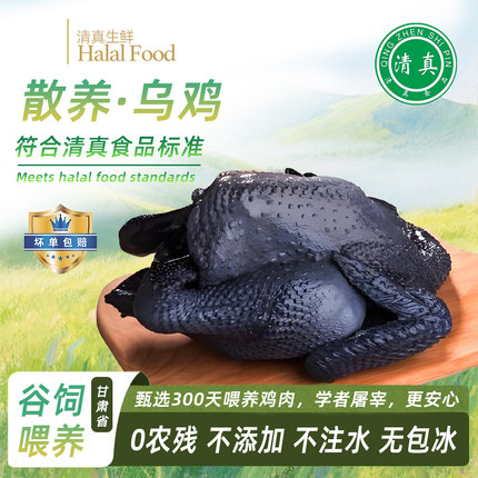 甘肃清真乌鸡新鲜现宰正宗农家散养土鸡黑乌鸡生鲜冷冻整只鸡