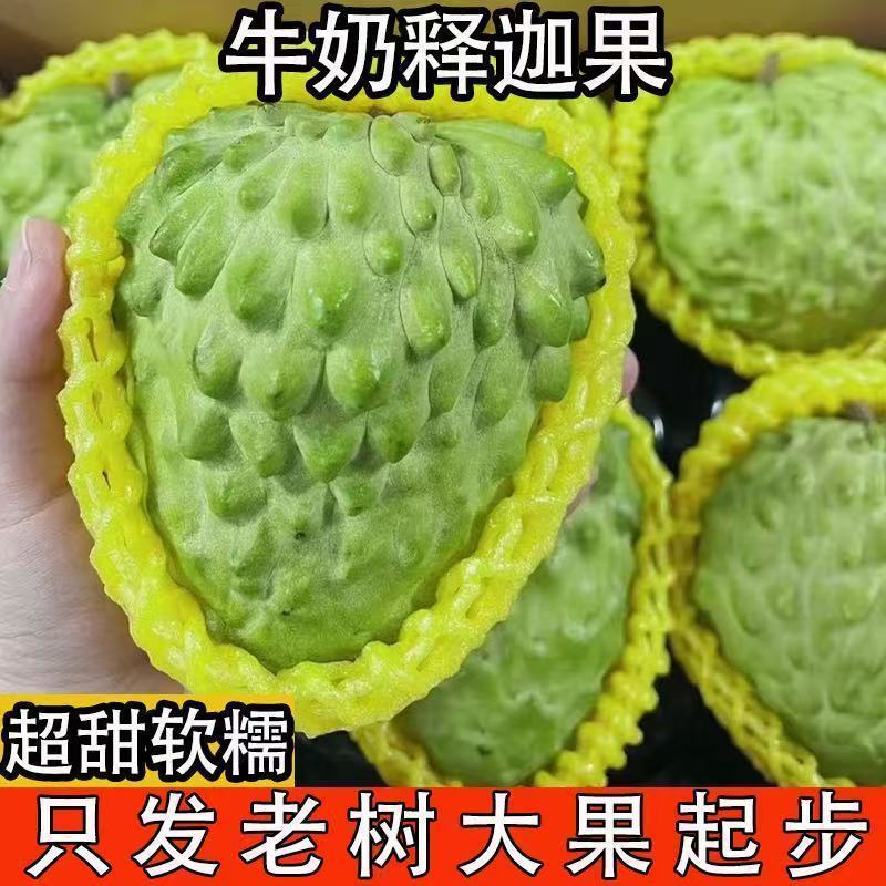 释迦果新鲜番荔枝5斤大目凤梨牛奶佛头果林檎摩尼果当季水果3顺丰