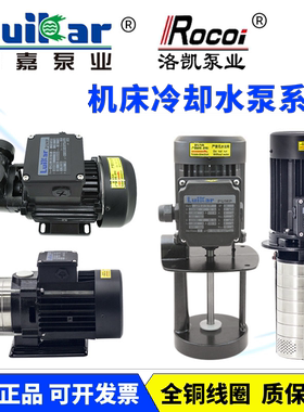 LuiKar睿嘉Rocoi洛凯LDPB1-2H-4V-15-18-20-22-40-TP数控机床水泵