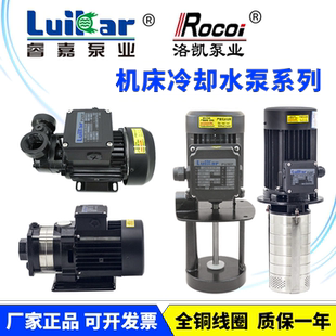 LuiKar睿嘉Rocoi洛凯LDPB1-2H-4V-15-18-20-22-40-TP数控机床水泵