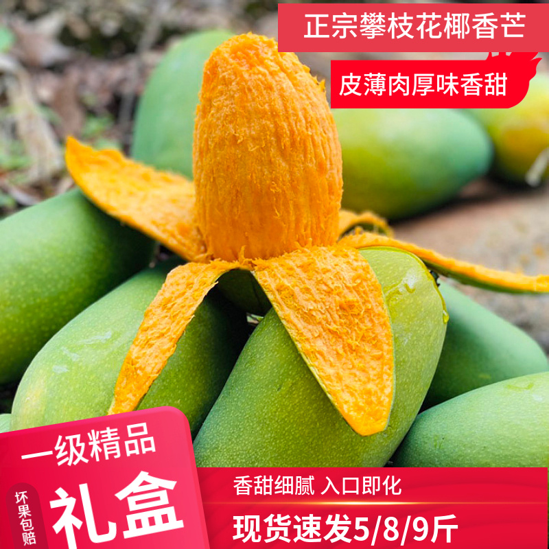 攀枝花芒果椰香芒5斤青皮鸡蛋芒现摘当季新鲜水果节日礼物|ruв категории водной мясо/свежие фрукты и овощи/еда, свежие фрукты, манго - от Buy2taobao.com для оказания профессиональной услуги покупки агента Taobao