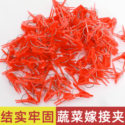 寿光蔬菜番茄西瓜苗工具嫁接夹
