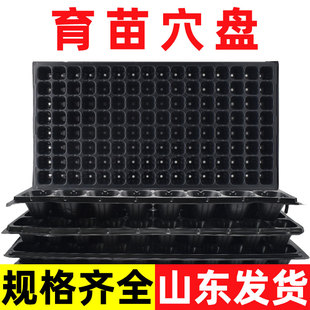 蔬菜育苗盘穴盘菜苗专用塑料托盘多功能秧苗种植杯神器大号营养钵