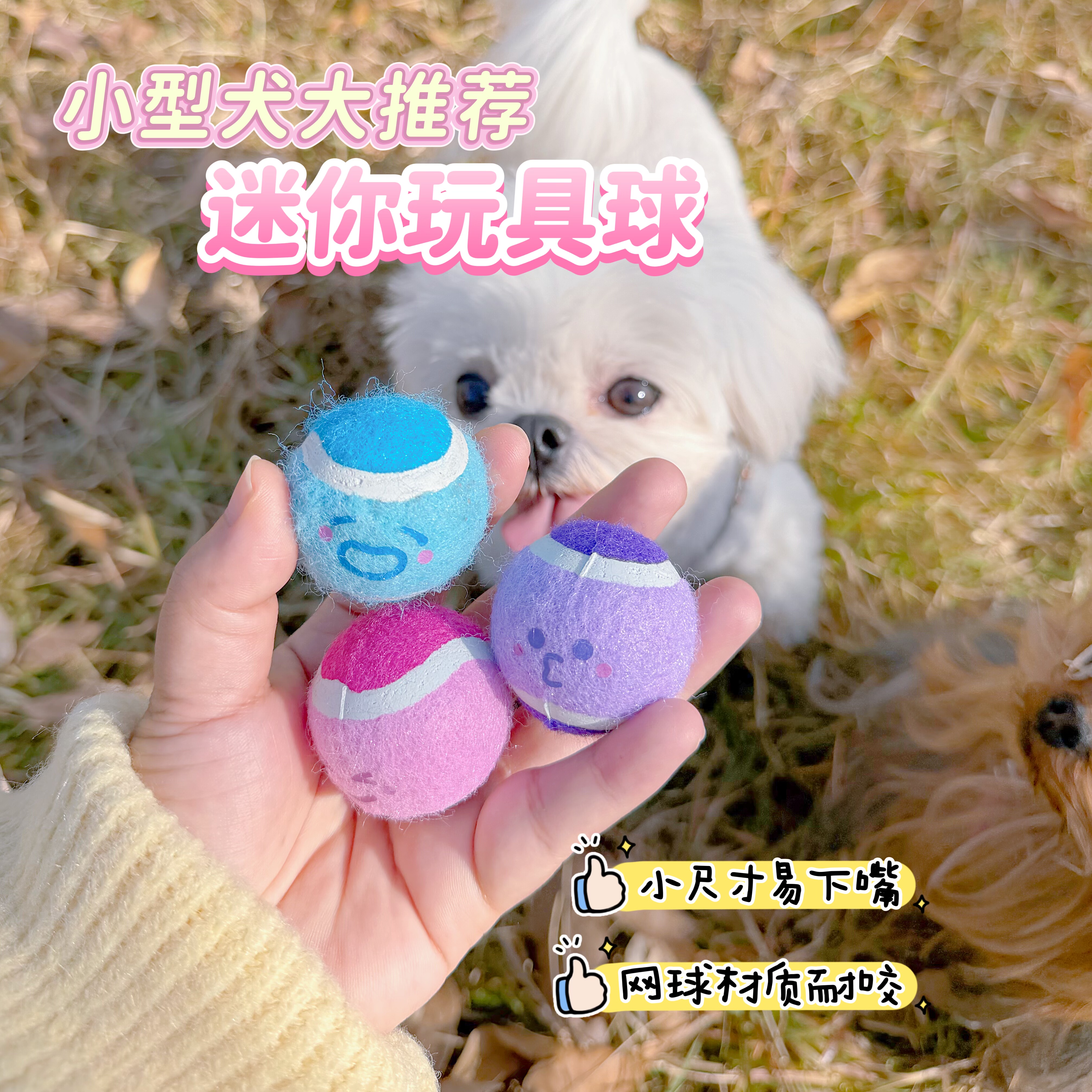 迷你网球玩具小型犬巡回解闷约克夏茶杯犬磨牙耐咬互动狗狗玩具
