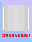 专业定制智能镜柜门镜柜除雾镜框镜子铝合金框实木框镜门来图定做