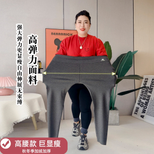 保暖瑜伽裤 鲨鱼裤 秋加绒高腰显瘦外穿打底裤 胖mm200斤春季 女大码