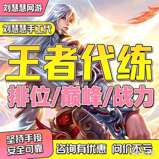 王者荣耀代练代打排位段位百星上分赛小国标战力省标金标陪玩