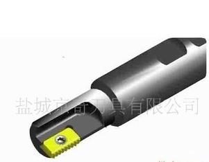 盐城京奇刀具专业定制非标刀具， 高品质多齿螺纹铣刀杆SR0021H12