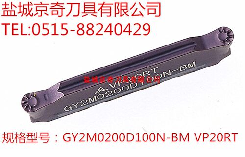 先询价再拍 /GY2M0200D100N-BM VP20RT 原装正品 品质保证