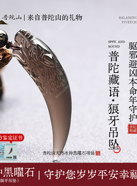普陀山天然冰种黑曜石狼牙吊坠