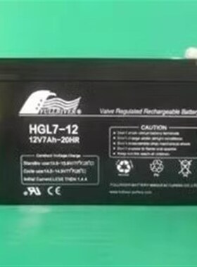 丰江FULLRIVER蓄电池HGL12V7AH12AH18AH24AH38AH100AH应急EPS电源