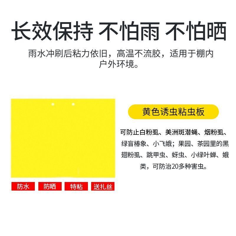 热销双面粘虫黄板诱虫板柑橘子树瓜果实蝇针蜂粘苍蝇贴粘虫板蓟马