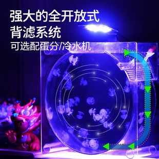热销家庭水母饲养缸水母缸桌面展示缸水族生态鱼缸赤月海月摆摊养
