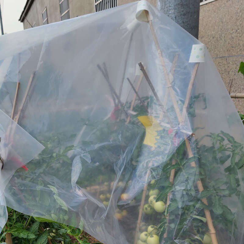 热销大鹏塑料膜加厚大鹏膜胶纸透明胶纸薄膜特厚塑料布防水保暖耐