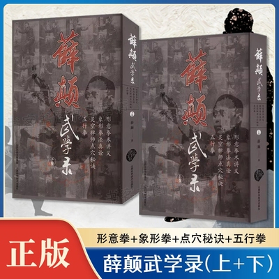 薛颠武学录学习形意拳武术书