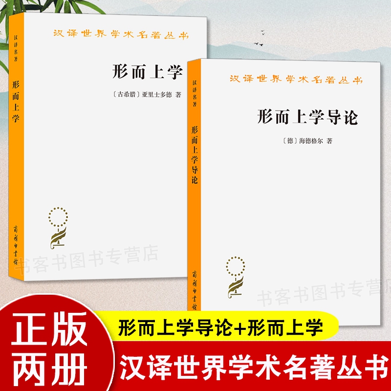 形而上学导论哲学理论研究书