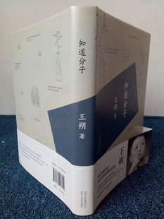现货 王朔:知道分子(2015版) 精装 王朔文集:过把瘾就死 王朔作品： 知道分子 中国文学小说书籍 王朔说 王朔全集