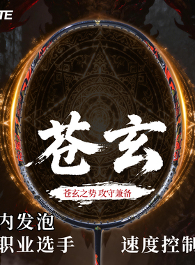 4U专业级羽毛球拍正品全碳素攻守兼备型内发泡高端速度控制