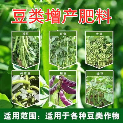 豆类专用肥豆角拉长拉直素嫩直长豇豆叶面肥嫩直花荚饱保花保果药