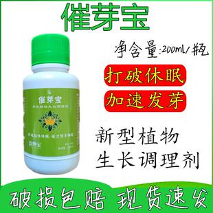 果树专用催芽高抽枝宝苹果猕猴桃树樱桃催芽剂茶叶催芽发枝素效