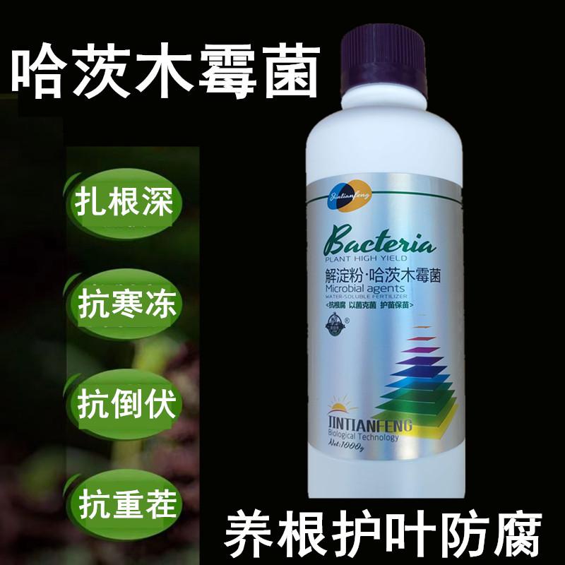 哈茨木霉杆菌抗重茬菌剂防治根腐病专用药大蒜草莓活化土壤杀菌剂